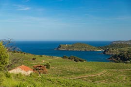 Villa 402 Canet Plage - Vignes de Banuyls et de Collioure en bord de mer